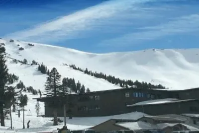177 Mammoth