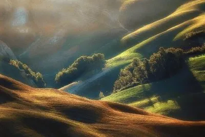 195