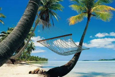 PALMERAS jigsaw puzzle