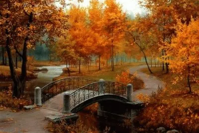 PUENTE EN EL BOSQUE (29)