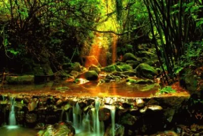sunbeam creek