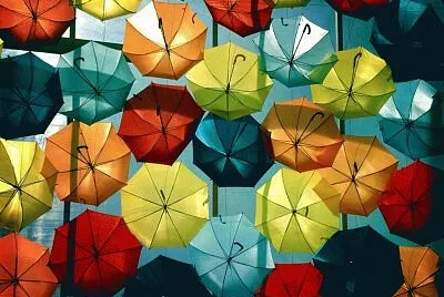  jigsaw puzzle