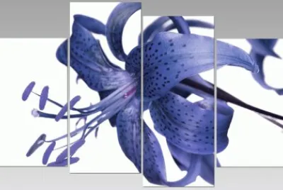 Tiger Lily Wall Art
