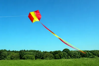 Kite Box Field(grok)