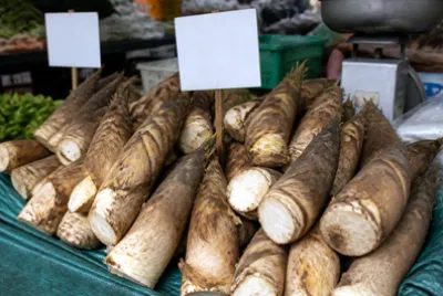 Overcast Market Husk
