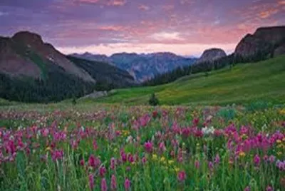 Rocky Mountain Spring