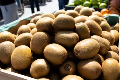 Kiwi Market Pile(grok)