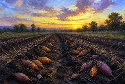 Dusk Harvest Rows