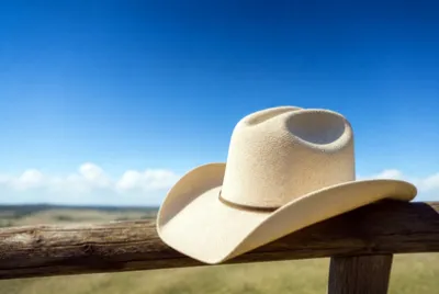 Sunny Fence Cowboy Hat