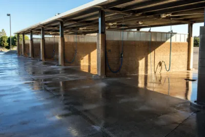 Morning Empty Bays