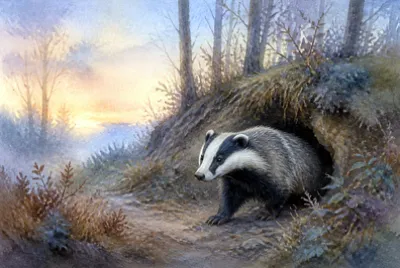 Dawn Sett Emergence jigsaw puzzle