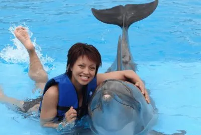 delfin