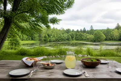 Picnic Table Set(grok)