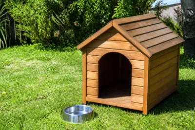Sunny Backyard Kennel jigsaw puzzle