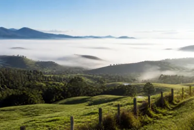 Sunny Valley Mist