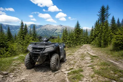 Red Atv Dirt Trail(grok)