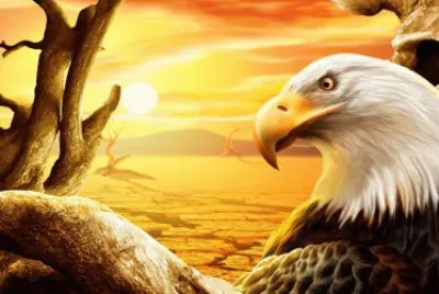 Aguila