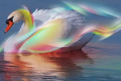 Cisne-Arcoiris