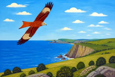 Coast Headland
