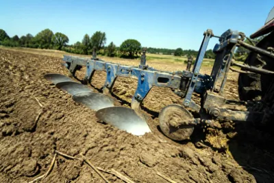 Sunny Furrowed Field