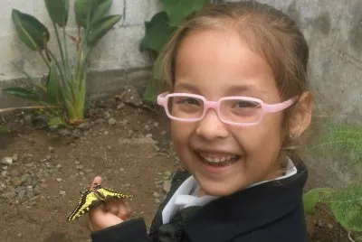 mariposa tigre cola de golondrina, acaba de nacer jigsaw puzzle