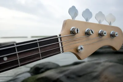 Bass Fretboard Close(grok) jigsaw puzzle