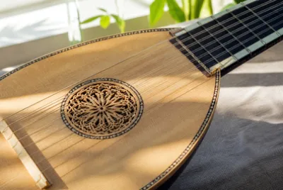 Lute Soundboard Close(grok) jigsaw puzzle