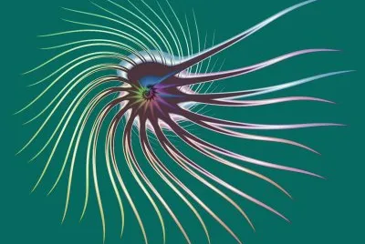 flagellum