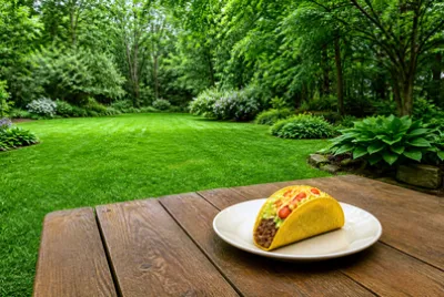 Empty Lawn Taco jigsaw puzzle