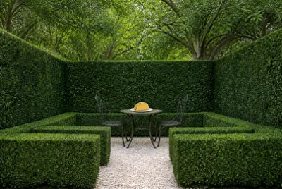 Hedge Courtyard Taco
