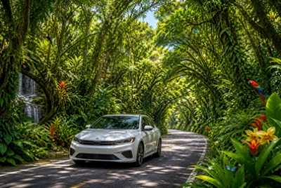 Rainforest Tunnel Road(grok) jigsaw puzzle