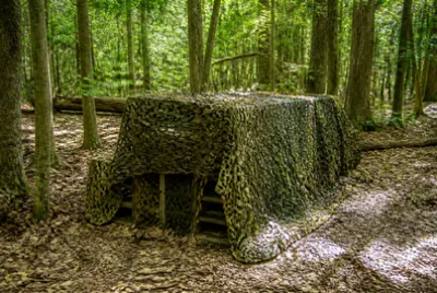 Camo Photo