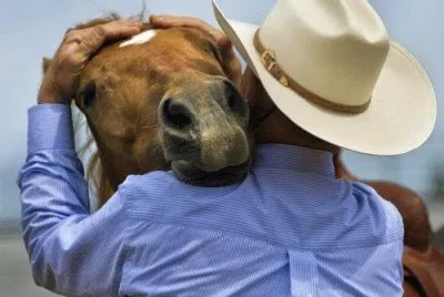 caballo