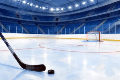 Rink Goal