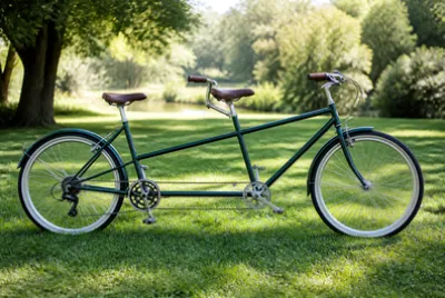 Parked on Grass(grok)