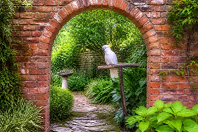 Brick Framed Cockatoo