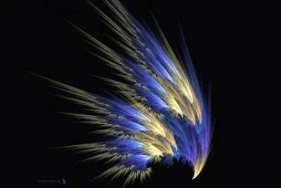feathers