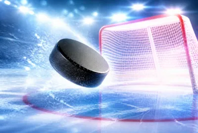 Crease Puck