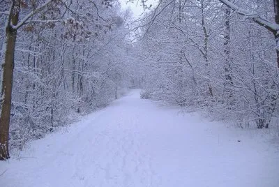 winter