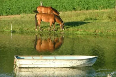 farm pond