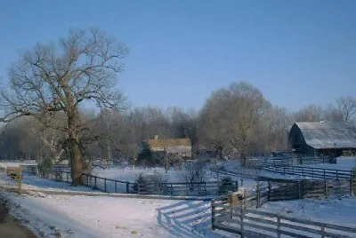 winter