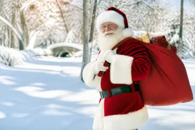 Santa Sack(grok)