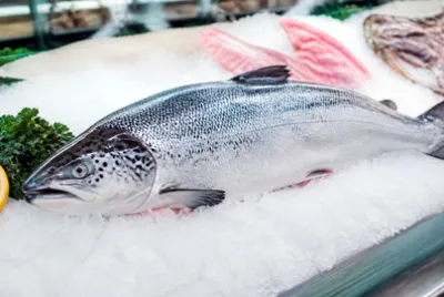 Market Whole Salmon(grok)