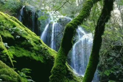 Mt Tamalpais Water Fall-Marin County