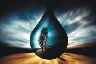 gota