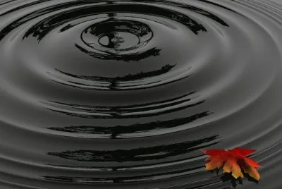 gota