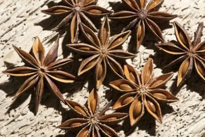 Anise