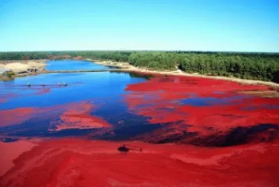 Cranberry bog