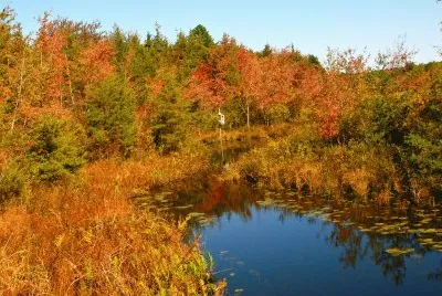 Autumn in NJ