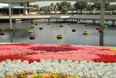 פאזל של flores